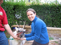 2006