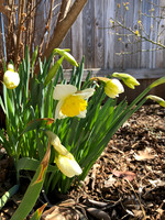 March