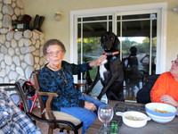 California trip 11/11